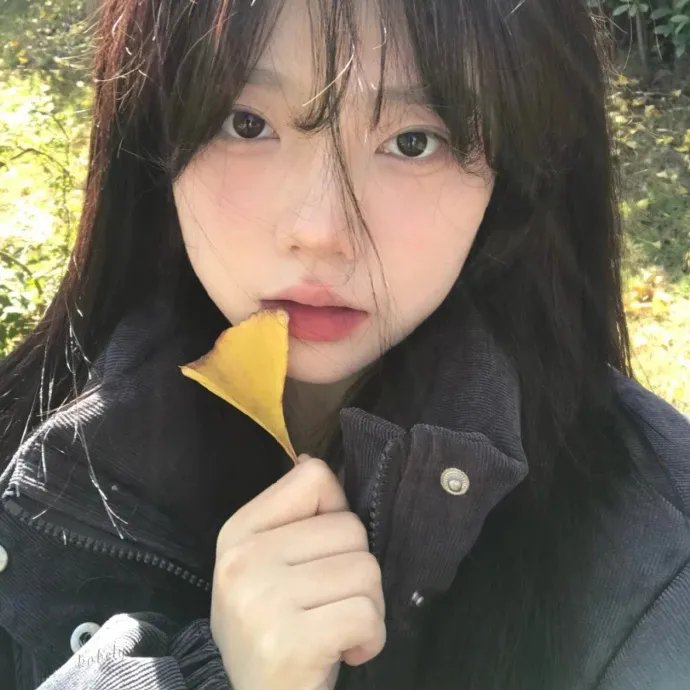 八面玲珑的申小姐